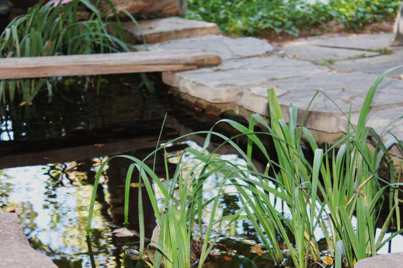 What To Consider When Incorporating Water Features