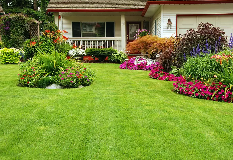 Soft Landscaping Charing, Kent